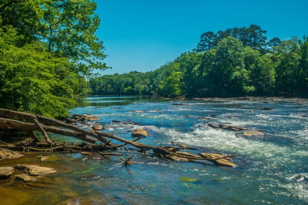 Best Things to do in Milton GA