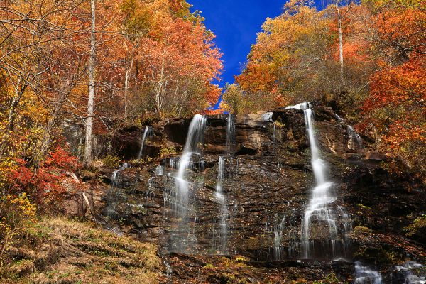 Fall Fun in Dawsonville
